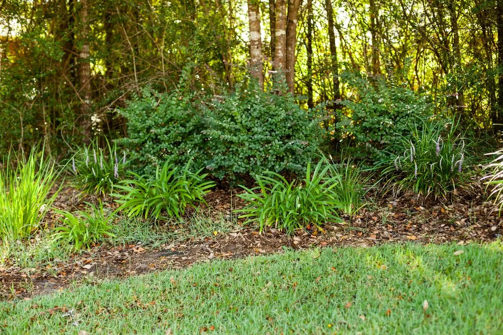 Expert garden landscaping in Crestview, FL - Outdoor Solutions 850