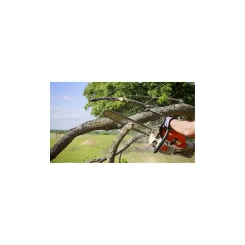 Local landscape design for homes across Belton, MO - Outdoor Solutions