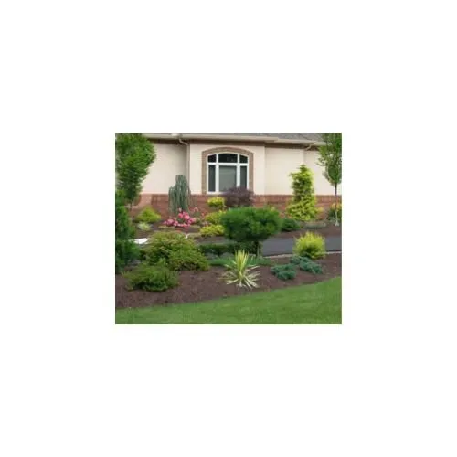 Trusted residential landscaping experts serving Belton, MO - Outdoor Solutions