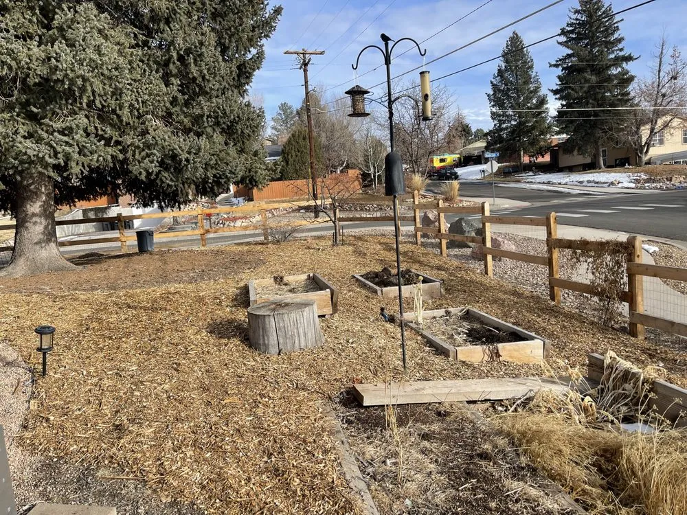 Top-rated lawn care service in Castle Rock, CO by Outdoor Solutions