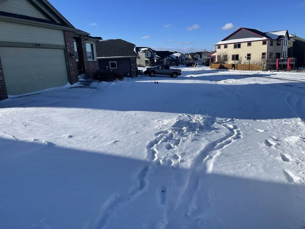 Professional landscape installation in Castle Rock, CO by Outdoor Solutions
