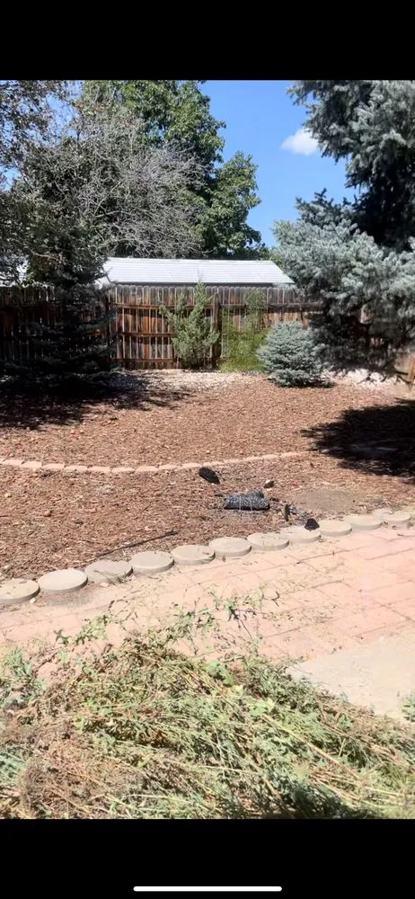 Custom yard maintenance experts serving Castle Rock, CO - Outdoor Solutions