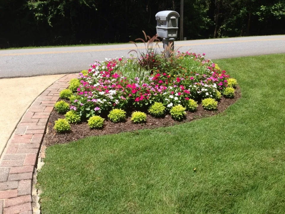 Local yard maintenance experts serving Columbus, GA - Outdoor Solutions