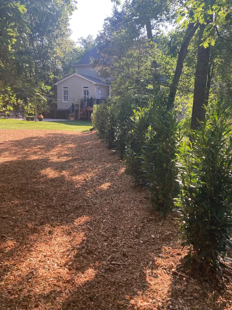 Local yard cleanup service in Evesham, NJ - Outdoor Solutions Landscaping