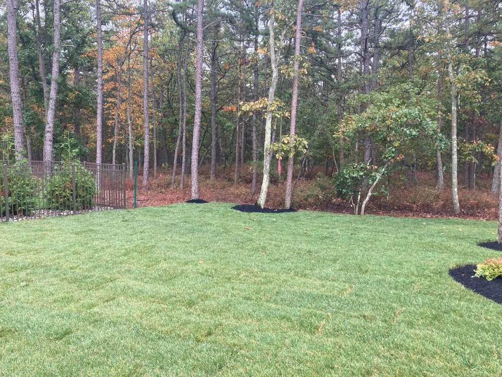 Expert yard maintenance with custom design in Evesham, NJ by Outdoor Solutions Landscaping