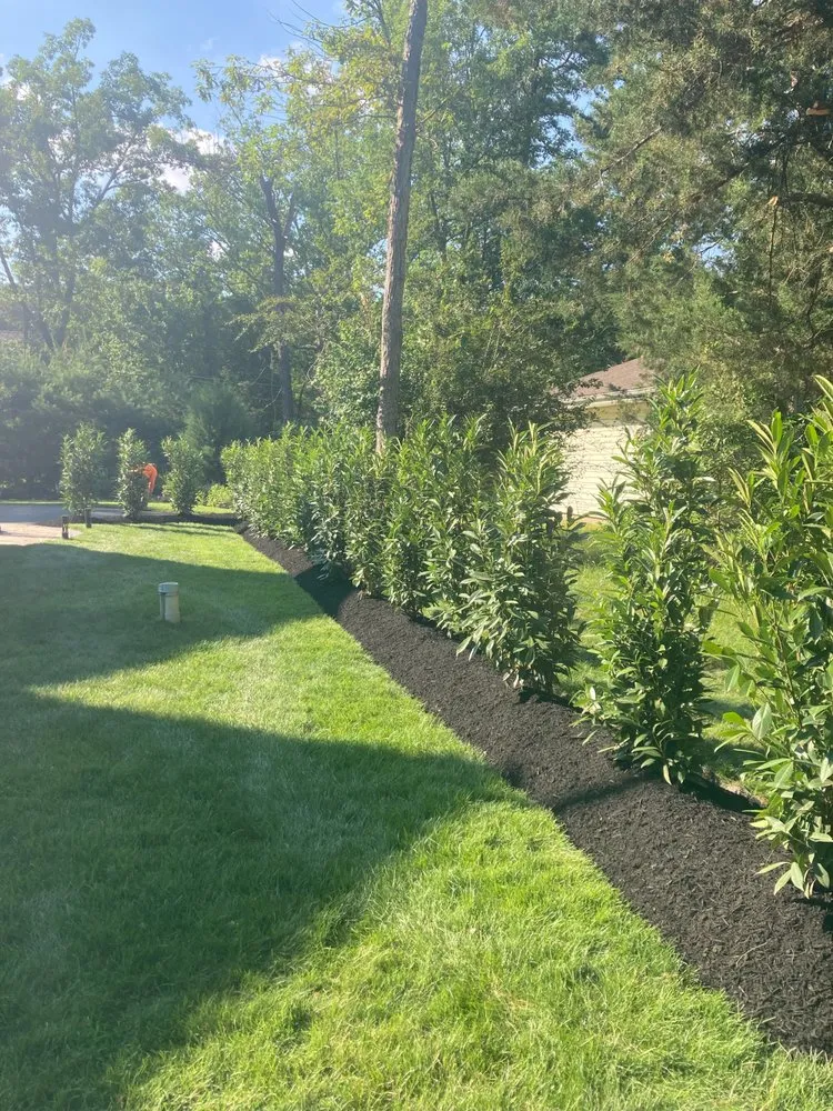Top-rated yard maintenance in Evesham, NJ - Outdoor Solutions Landscaping
