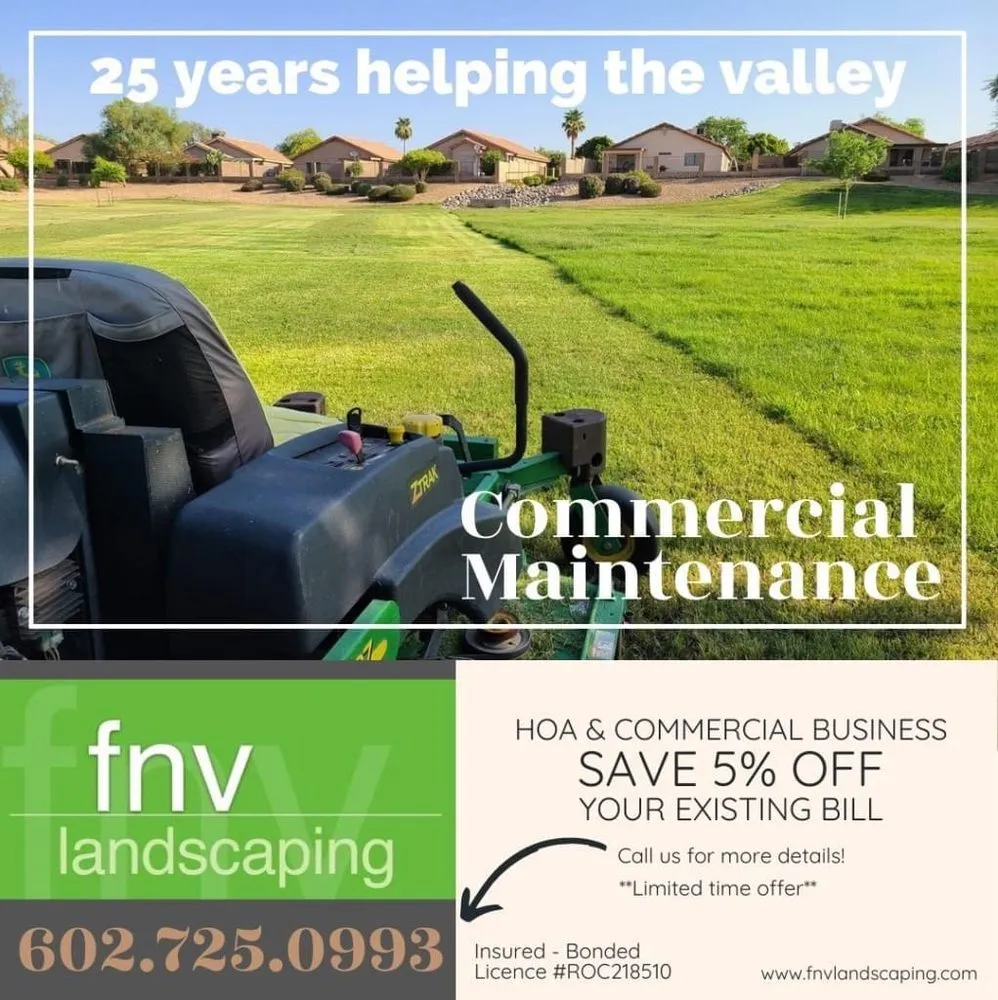 Top-rated landscaping services in Mesa, AZ by Outdoor Solutions