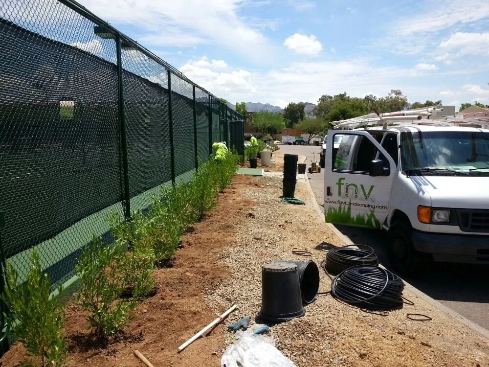 Trusted yard maintenance in Mesa, AZ - Outdoor Solutions