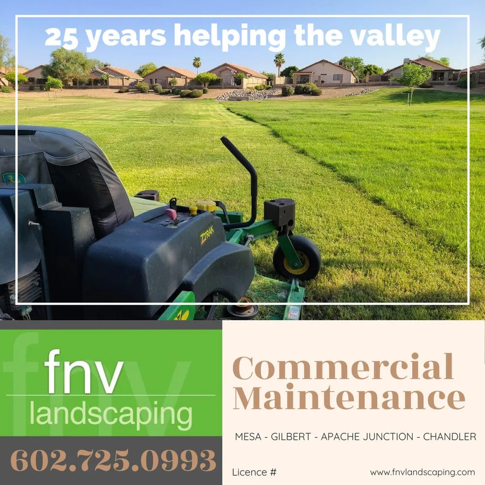 Reliable lawn mowing service in Mesa, AZ - Outdoor Solutions