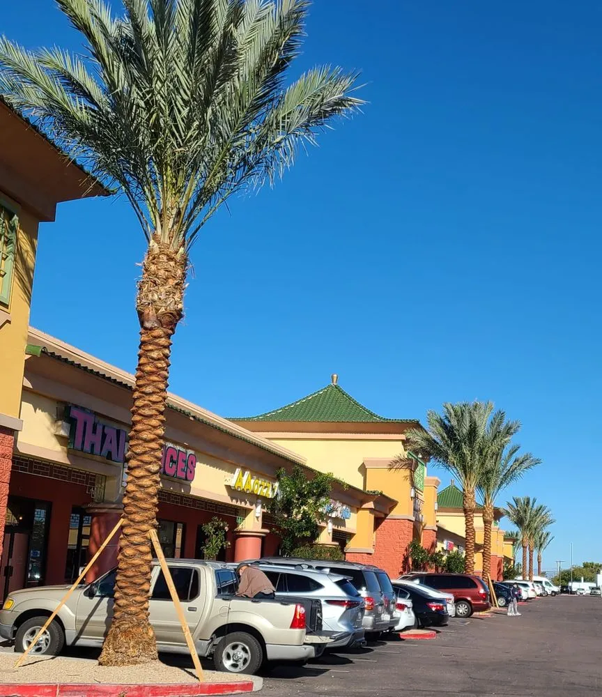 Reliable lawn care service in Mesa, AZ - Outdoor Solutions