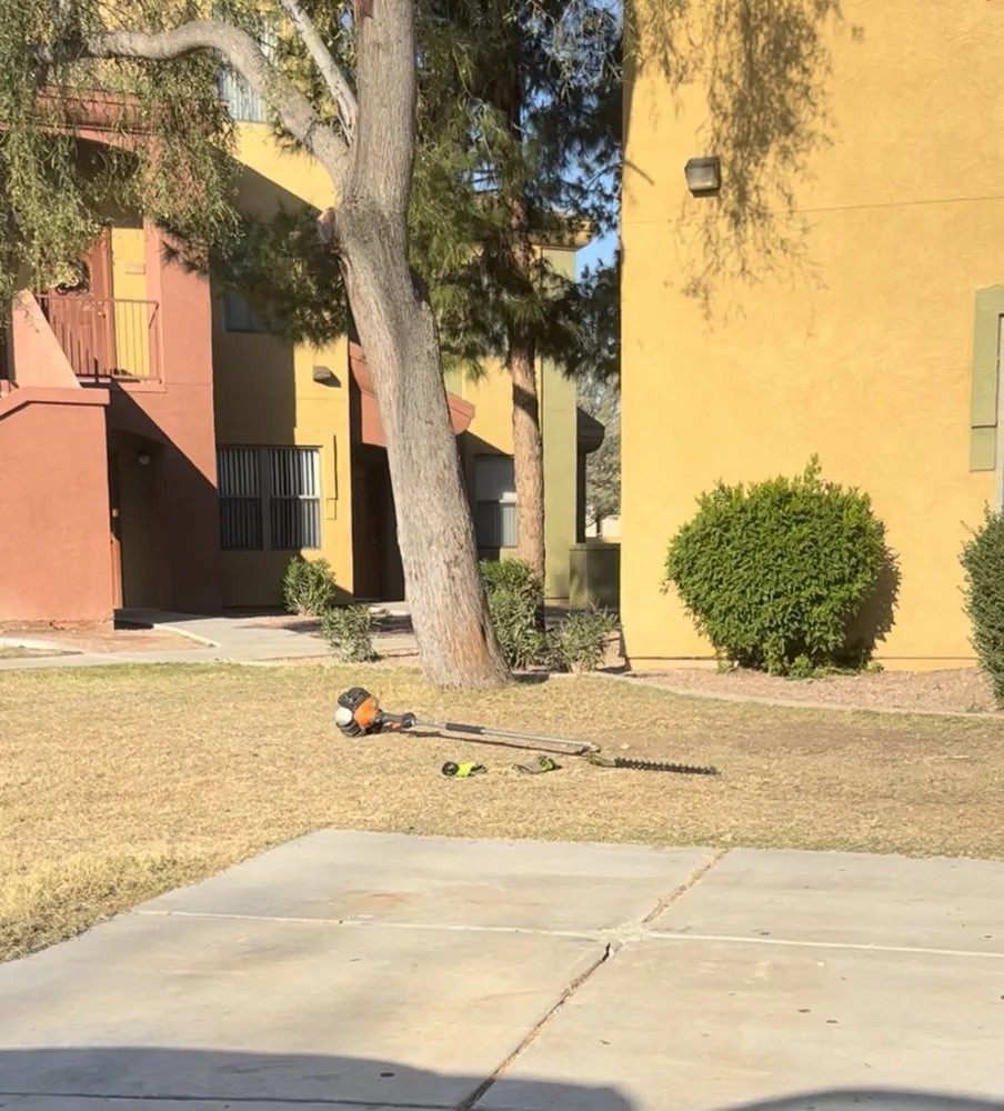 Trusted yard cleanup service with custom design across Mesa, AZ - Outdoor Solutions