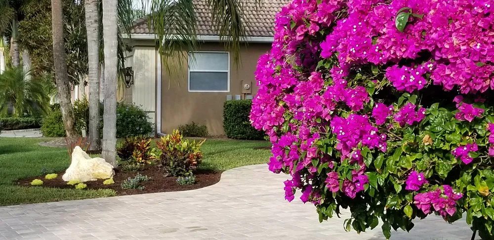 Top-rated landscape design for beautiful yards across Punta Gorda, FL - Outdoor Solutions