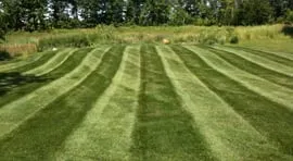 Local yard cleanup service in Lansing, MI by Outdoor Specialties