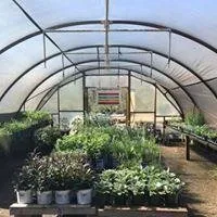 Expert outdoor landscaping experts serving Watkinsville, GA - Outdoor Specialty