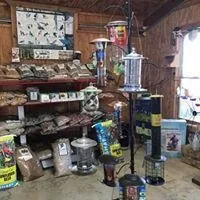 Affordable outdoor landscaping in Watkinsville, GA by Outdoor Specialty