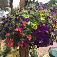 Reliable residential landscaping in Watkinsville, GA by Outdoor Specialty