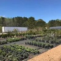 Custom landscape installation in Watkinsville, GA - Outdoor Specialty