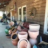 Expert yard cleanup service in Watkinsville, GA by Outdoor Specialty