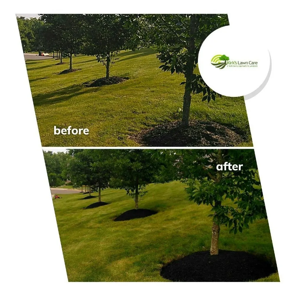 Expert yard maintenance in Douglassville, PA - Outdoor Splendor