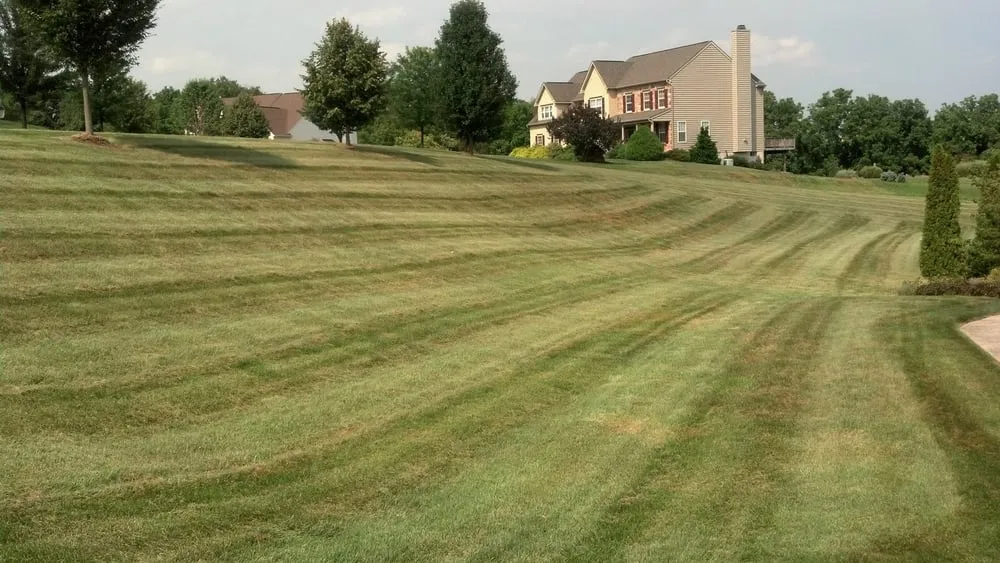 Affordable yard cleanup service in Douglassville, PA by Outdoor Splendor