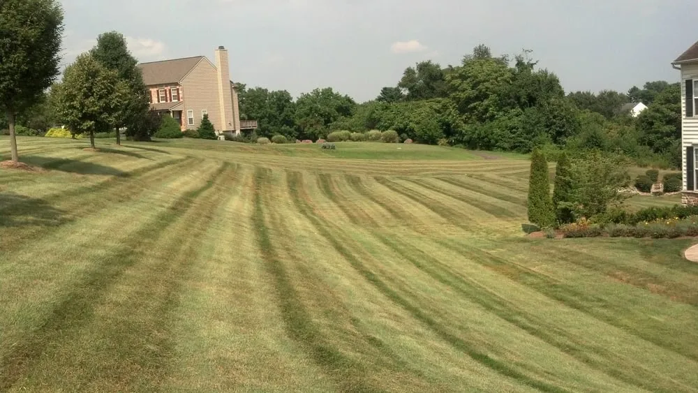 Affordable outdoor landscaping in Douglassville, PA by Outdoor Splendor