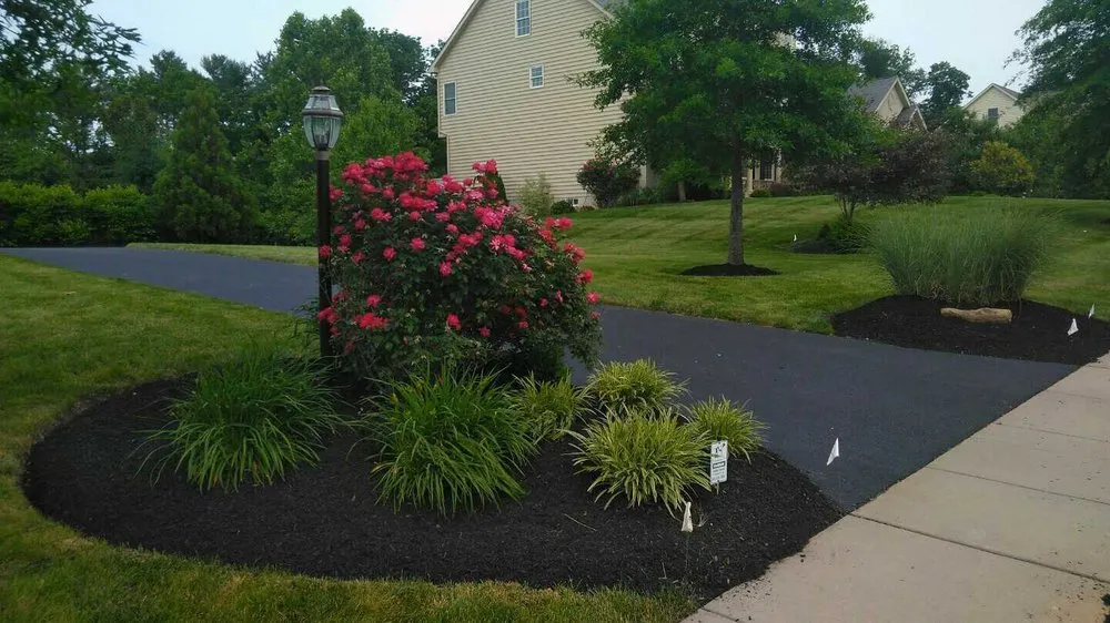 Professional yard cleanup service for residential properties in Douglassville, PA by Outdoor Splendor