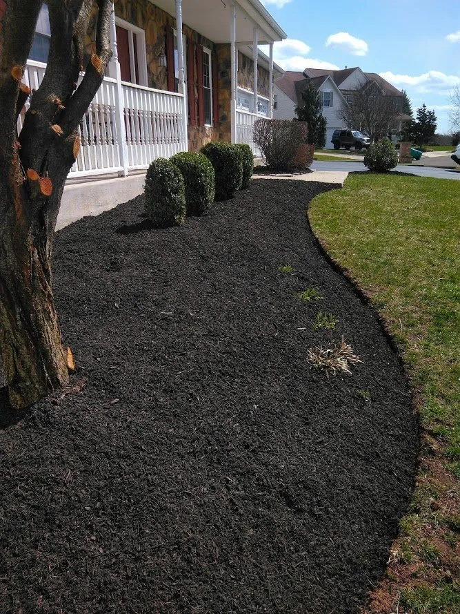 Local lawn mowing service in Douglassville, PA by Outdoor Splendor