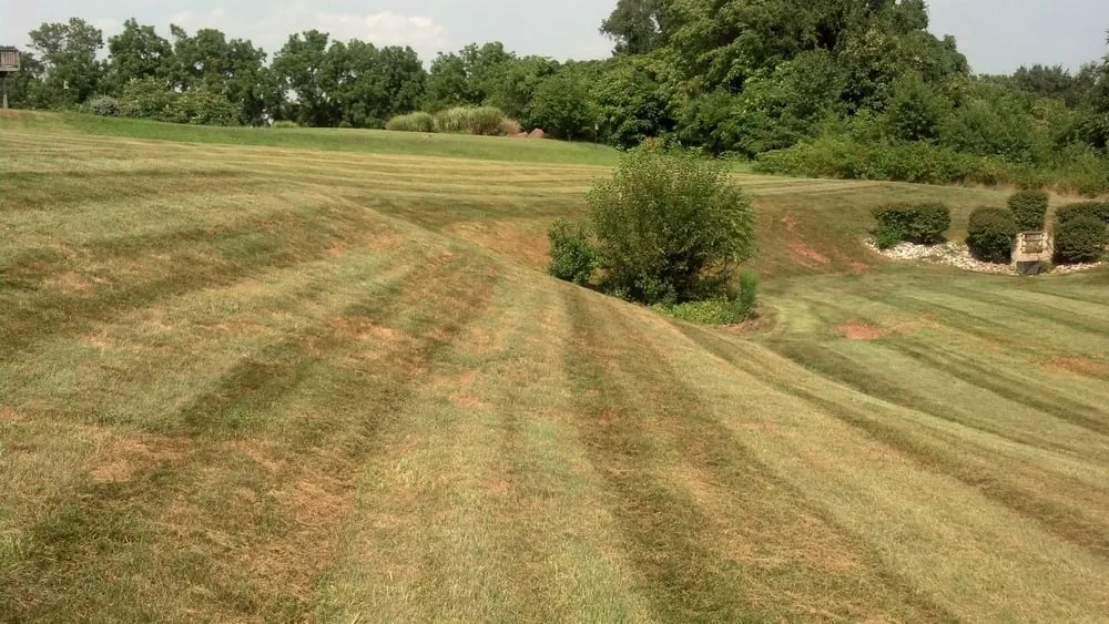 Trusted yard maintenance in Douglassville, PA - Outdoor Splendor