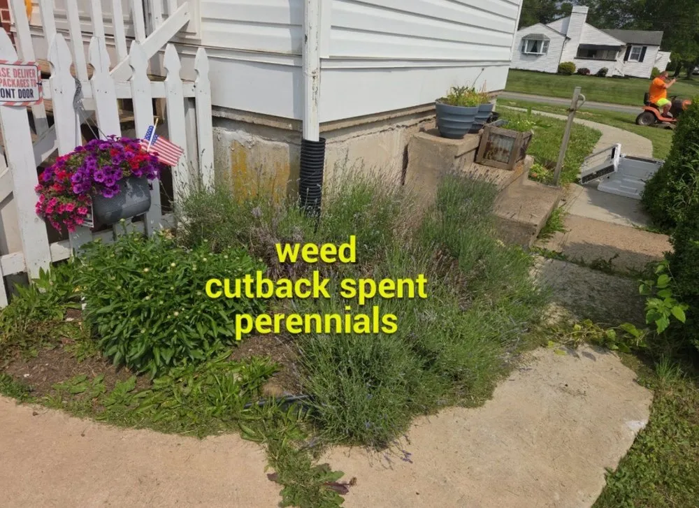 Top-rated lawn mowing service in Douglassville, PA - Outdoor Splendor