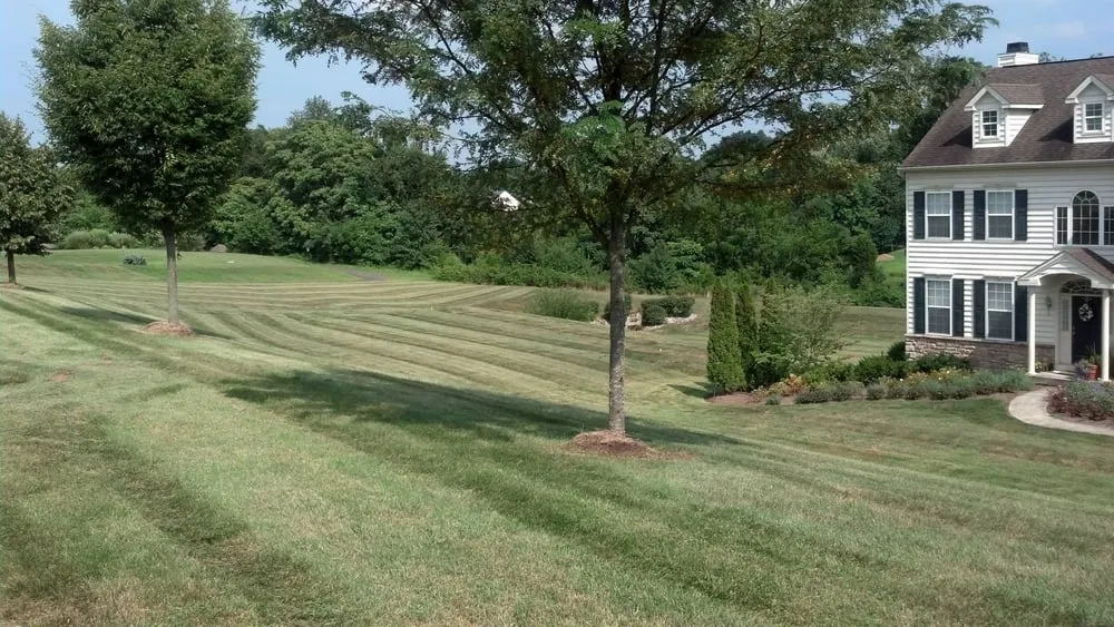 Trusted outdoor landscaping for beautiful yards across Douglassville, PA - Outdoor Splendor