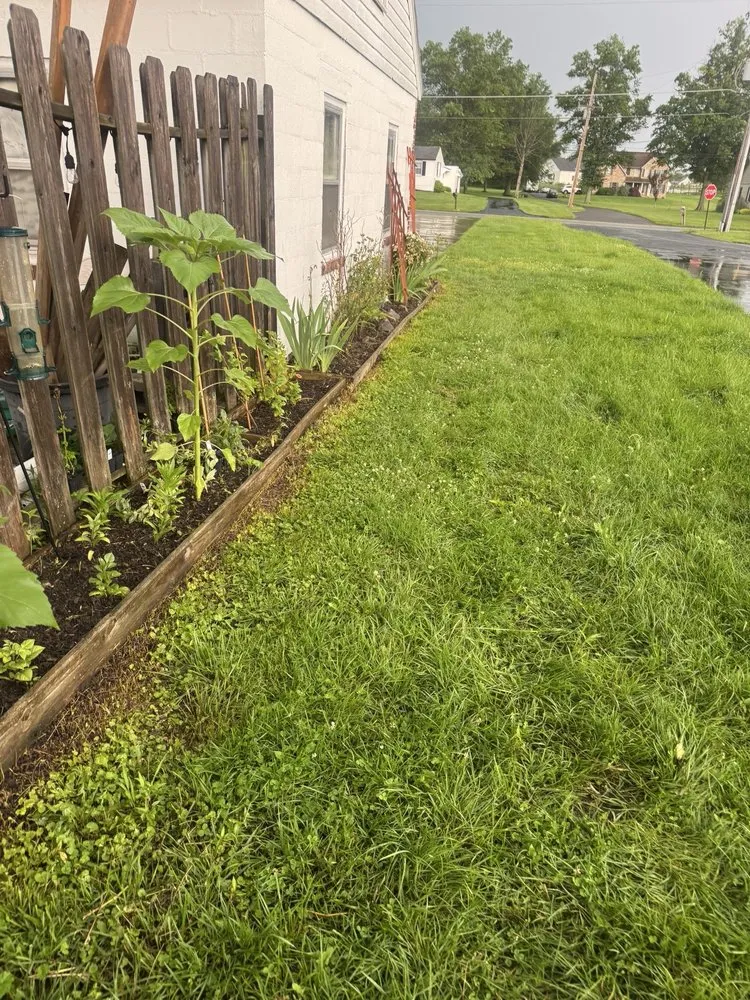 Professional garden landscaping with custom design in Douglassville, PA by Outdoor Splendor