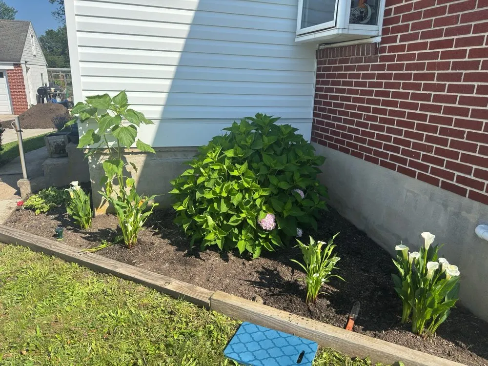 Affordable yard cleanup service with custom design in Douglassville, PA by Outdoor Splendor