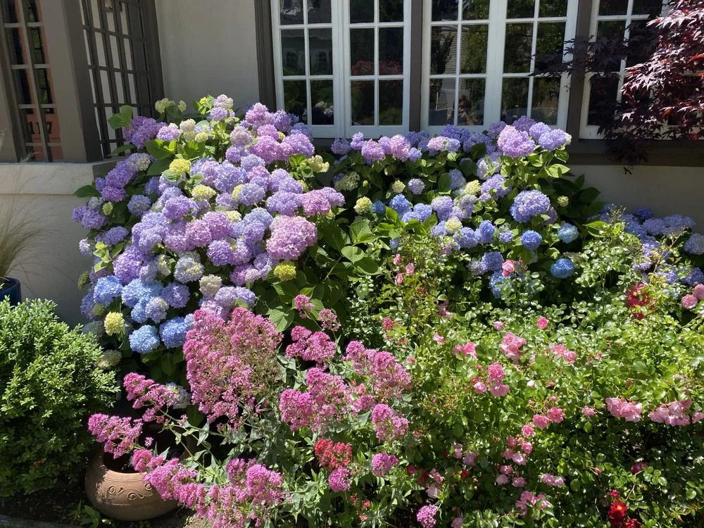 Local residential landscaping in Bellingham, WA - Outdoor Stewards