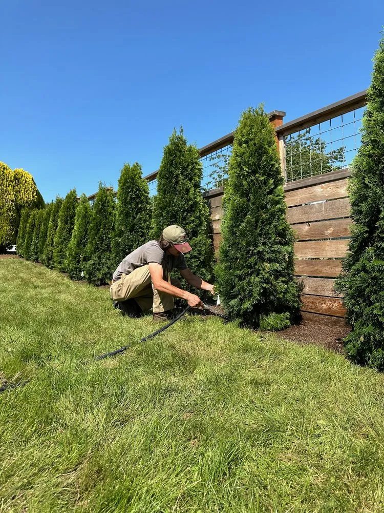 Top-rated garden landscaping in Bellingham, WA by Outdoor Stewards