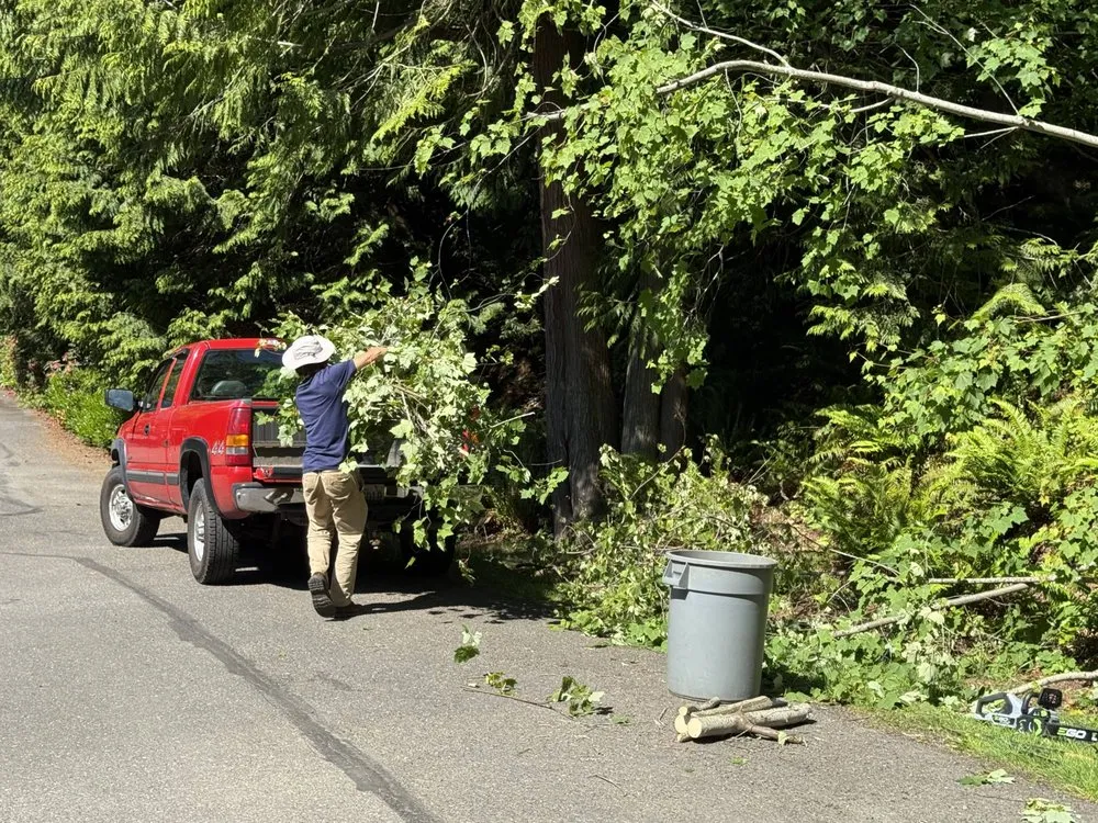 Expert yard cleanup service in Bellingham, WA by Outdoor Stewards