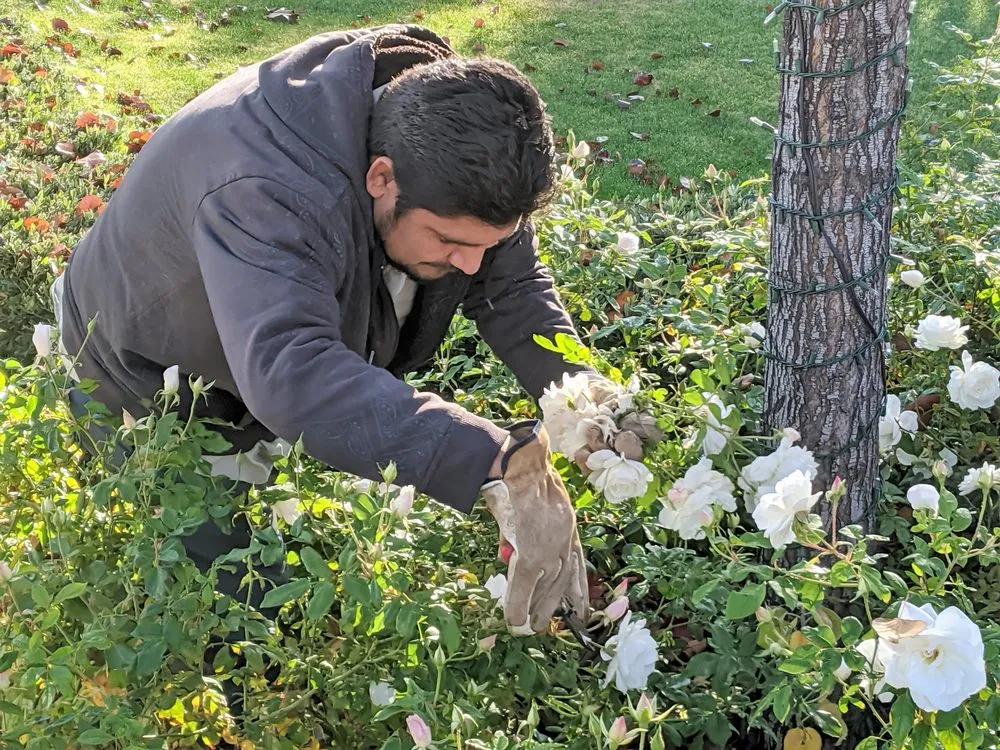 Local landscape design for year-round maintenance across Phoenix, AZ - Outdoor Systems Management