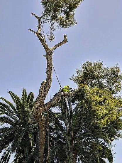 Trusted landscape installation for beautiful yards across Phoenix, AZ - Outdoor Systems Management