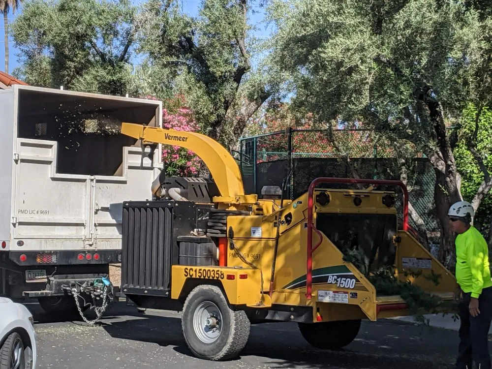 Expert residential landscaping for outdoor upgrades across Phoenix, AZ - Outdoor Systems Management