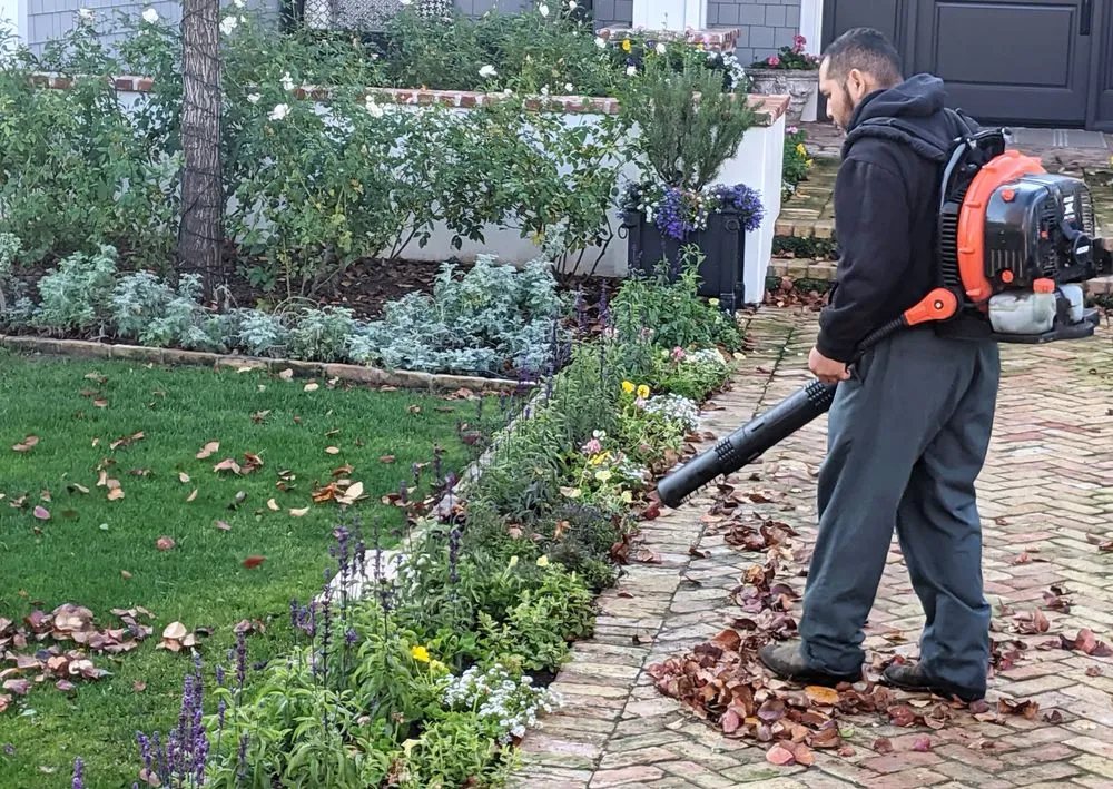 Trusted lawn care service for residential properties across Phoenix, AZ - Outdoor Systems Management