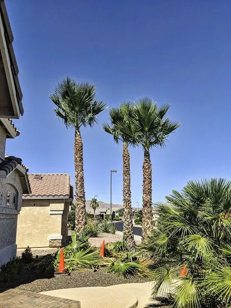 Trusted landscape design experts serving Phoenix, AZ - Outdoor Systems Management