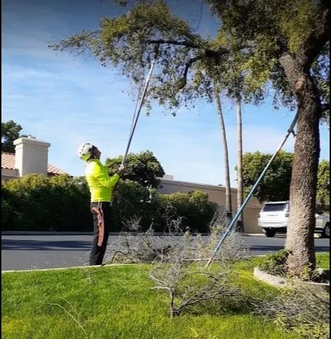 Trusted yard cleanup service in Phoenix, AZ - Outdoor Systems Management