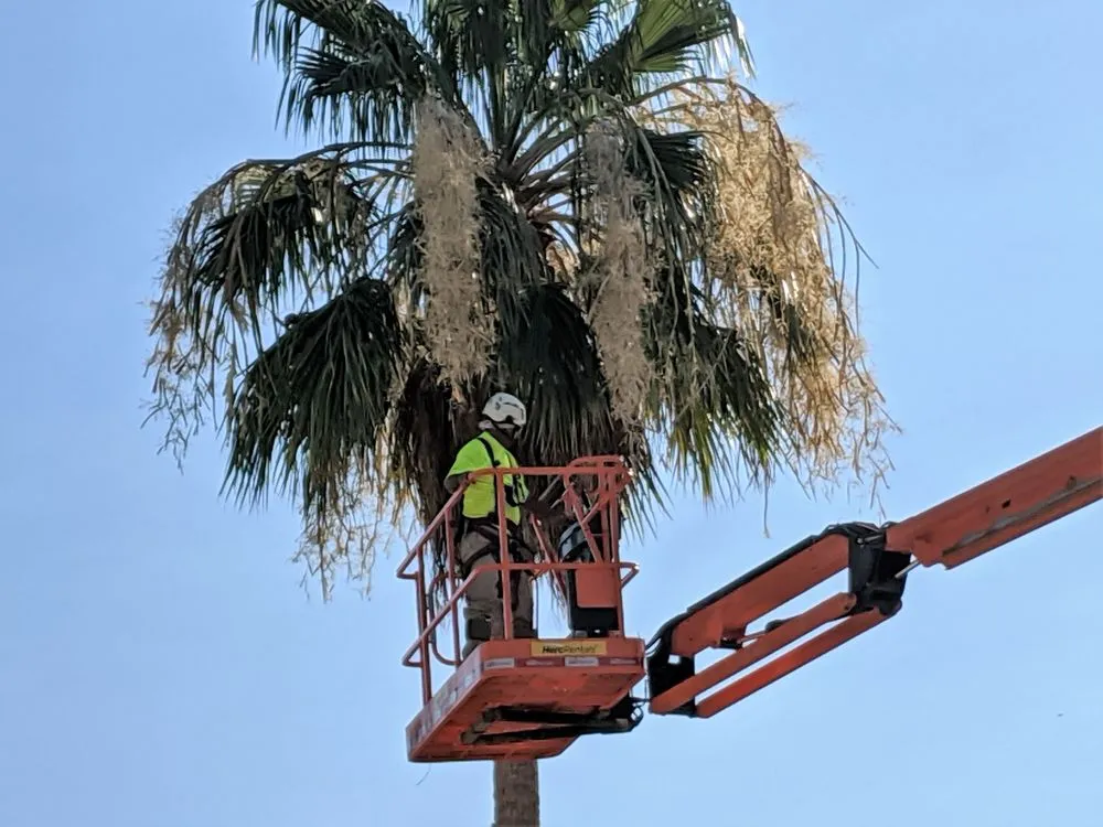 Trusted landscape installation in Phoenix, AZ - Outdoor Systems Management