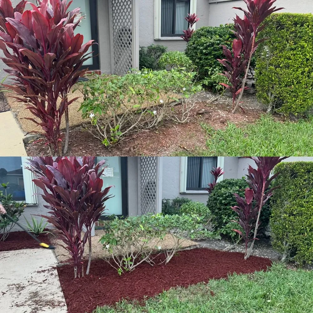 Top-rated landscaping services for beautiful yards across Delray Beach, FL - Outdoor This World Maintenance
