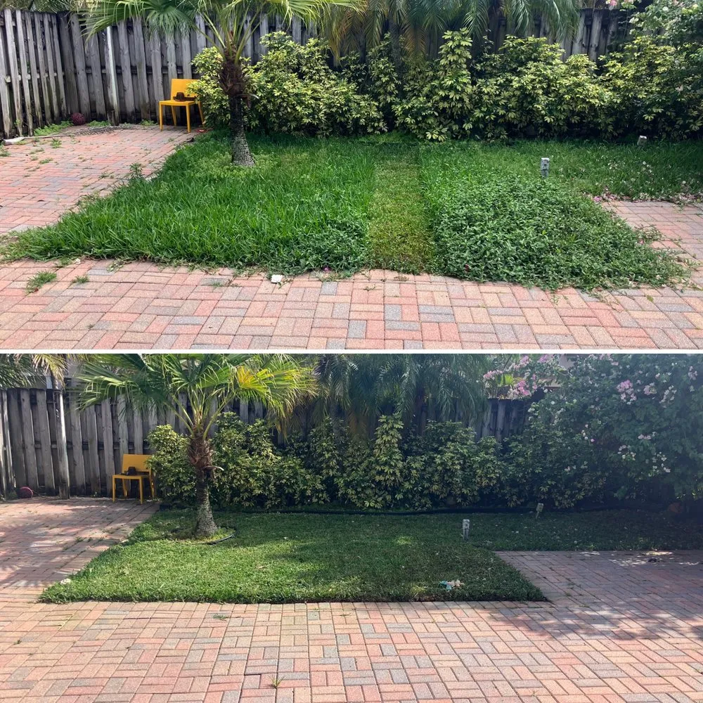 Custom yard cleanup service for year-round maintenance across Delray Beach, FL - Outdoor This World Maintenance