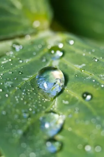 Professional landscape design in San Rafael, CA by Outdoor Watering Systems