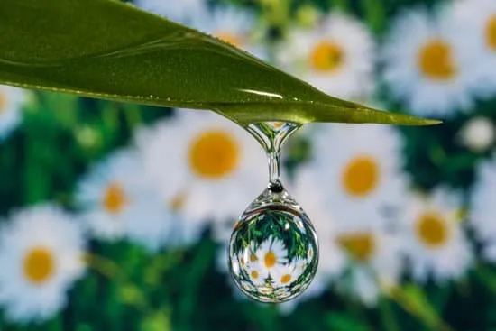 Outdoor Watering Systems Logo