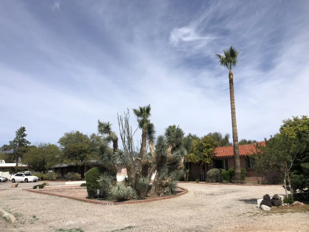 Trusted landscaping services in Tucson, AZ - Outdoor Works