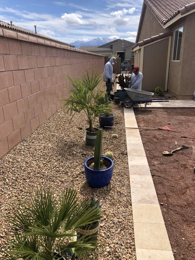 Custom lawn mowing service for year-round maintenance in Tucson, AZ by Outdoor Works