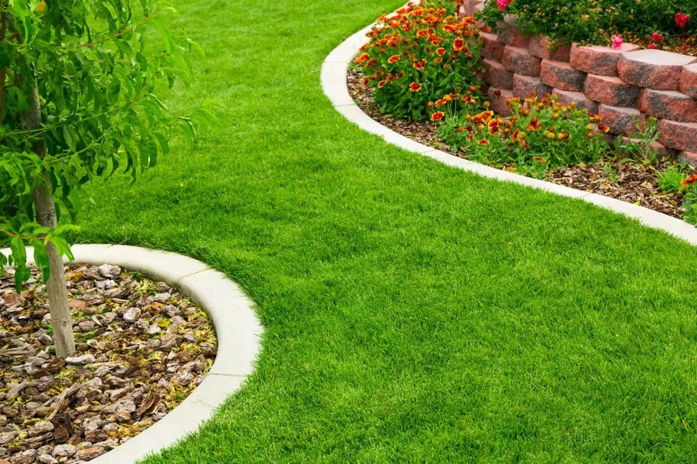 Expert landscaping services in Hilton Head Island, SC - Outdoor24