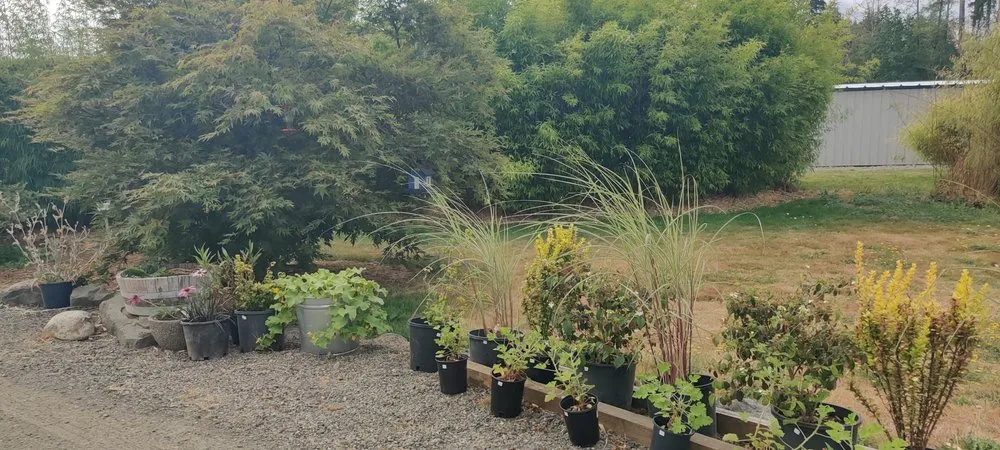 Top-rated lawn mowing service in Shelton, WA - Outdoors By Design